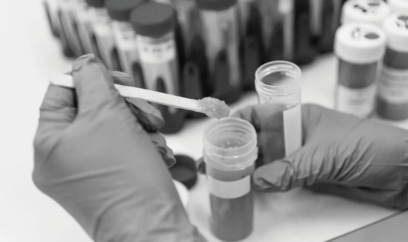 UMF vs MGO: Comparing Mānuka Honey Grading Systems
