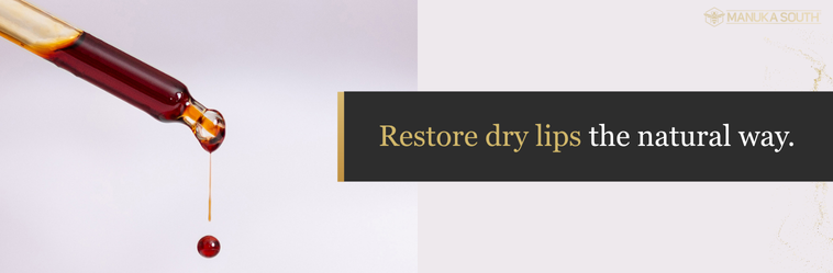 Propolis extract restore dry lips the natural way