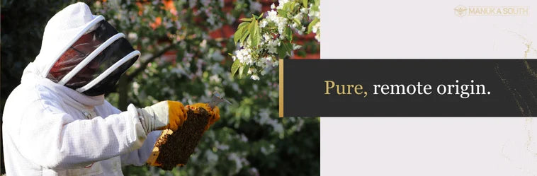 A beekeeper in a white suit inspects a honeycomb frame near flowering plants.