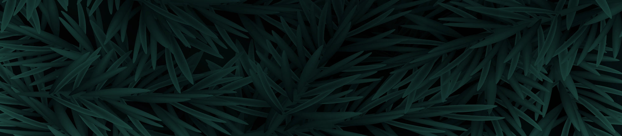 Manuka South Christmas Shutdown Period