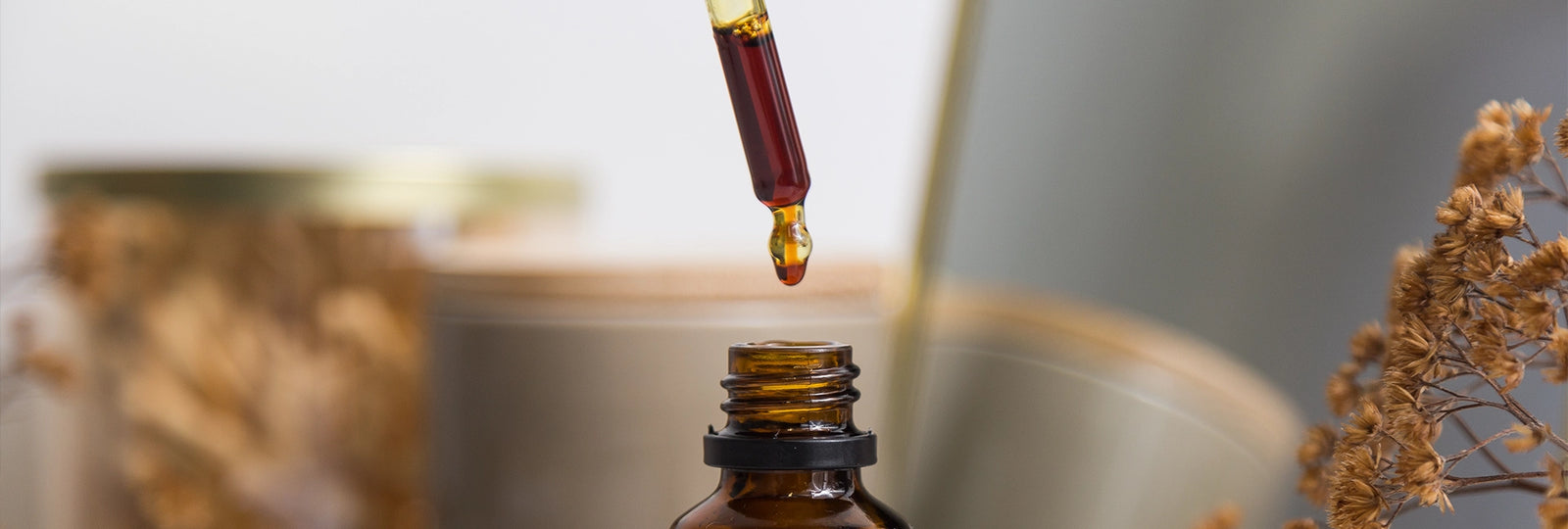 Propolis Extract