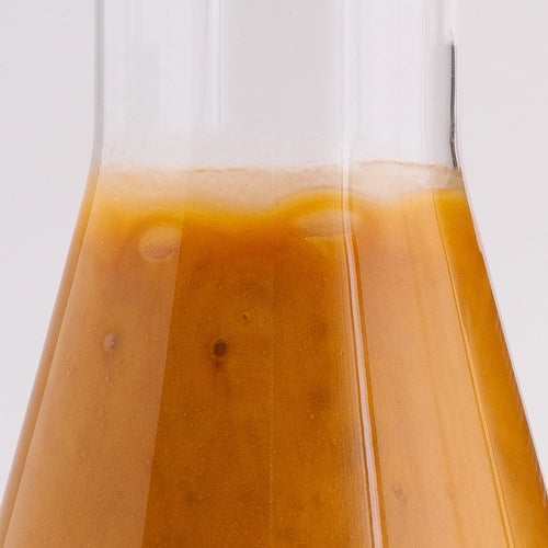 UMF Certified Manuka Honey from New Zealand