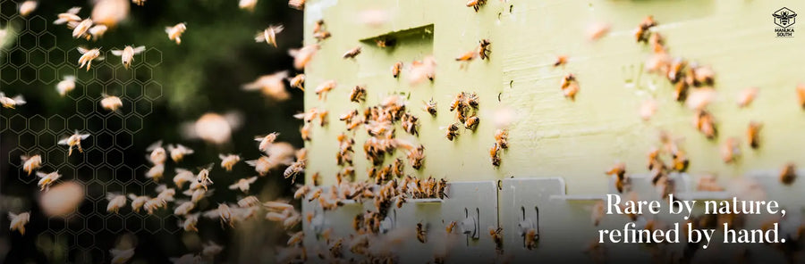 Bees flying around a beehive entrance, representing Best Manuka Honey craftsmanship and care.