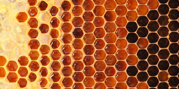 Manuka Honey Health Benefits