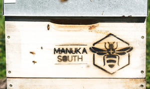 Manuka South