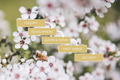Manuka South White Label Services Process: Enquiry, Development, Quote & Terms, First Order, and Delivery.