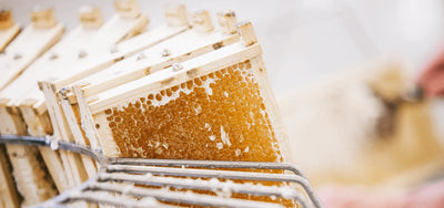 Manuka Honey Frames